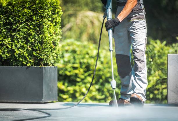 Best Roof Washing  in Perryville, MO
