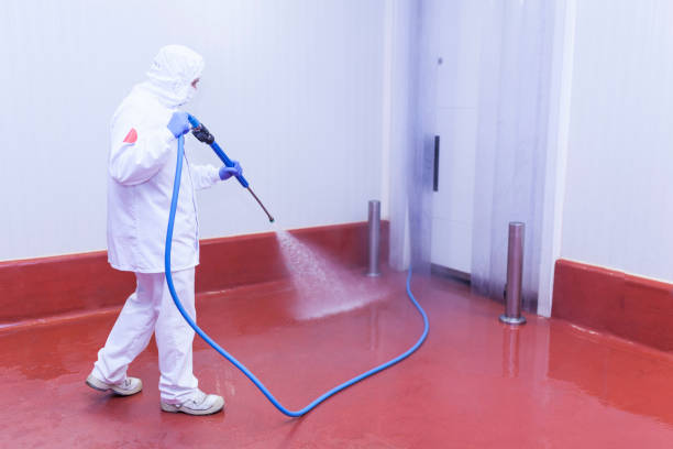 Best Paint Preparation  in Perryville, MO