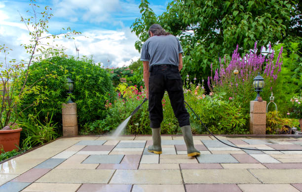 Best Sidewalk and Walkway Cleaning  in Perryville, MO
