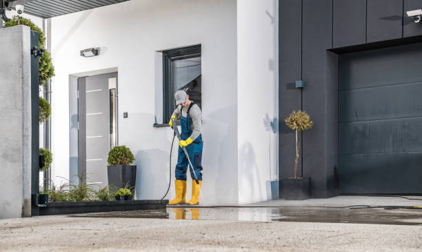 Best Gutter Cleaning  in Perryville, MO