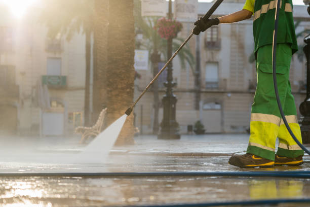 Best Roof Washing  in Perryville, MO